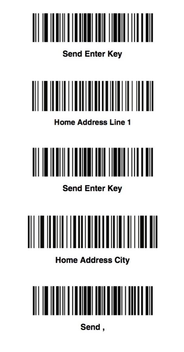 A close-up of several bar code Description automatically generated